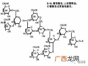 葡萄糖结构式,葡萄糖分子结构式？
