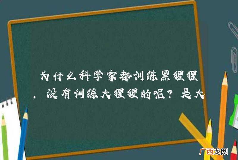为什么科学家都训练黑猩猩，没有训练大猩猩的呢？是大猩猩不够聪明吗？