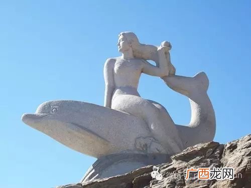 海豚的个性象征,海豚的寓意是什么?