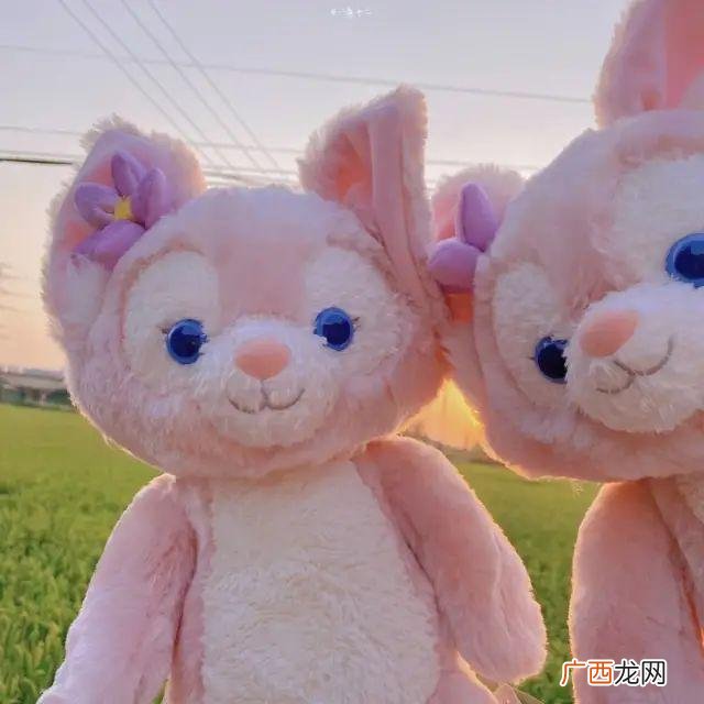 网名zzz代表什么意思,关于迪丽热巴和鞠婧祎的网名？