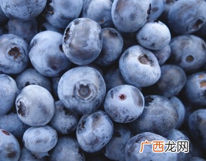 蓝莓几月成熟,蓝莓什么时候结果？