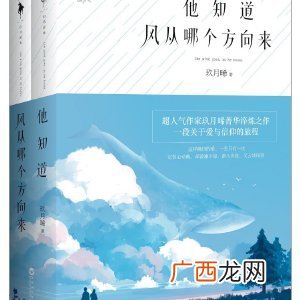 玖月晞的小说有哪些,玖月晞的小说有哪些?