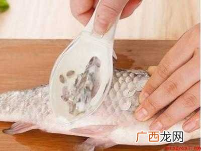 丁桂鱼怎样去除鱼鳞