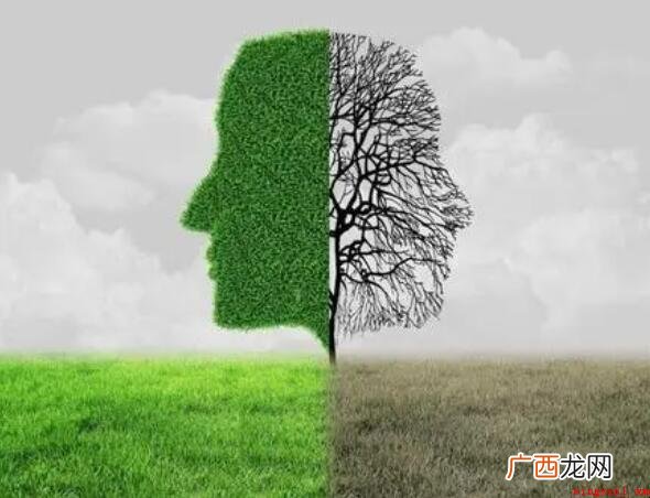 主观和客观是什么意思