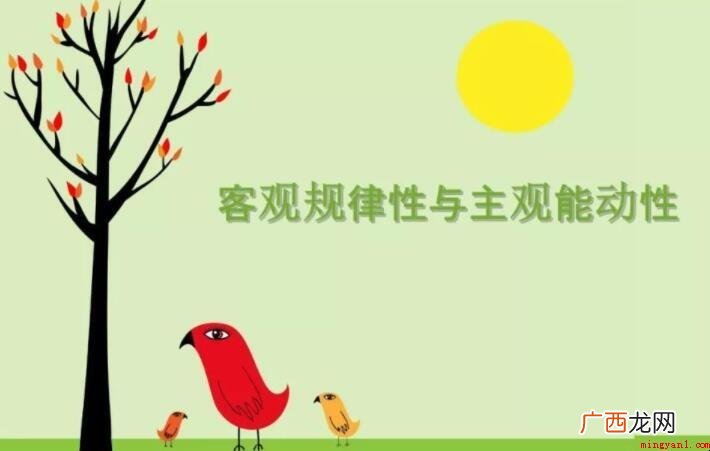 客观与主观的区别是什么
