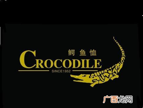 鳄鱼恤是几线品牌,鳄鱼恤和沙驰男装哪个好？
