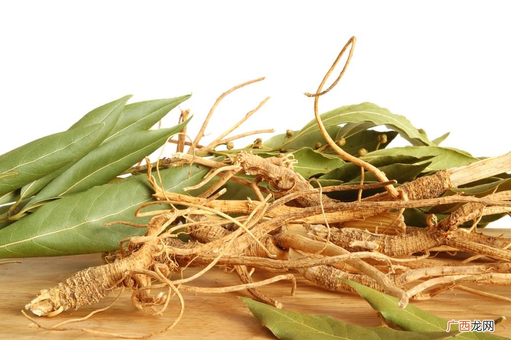 草根是什么意思,现代流行语，草根是什么意思？