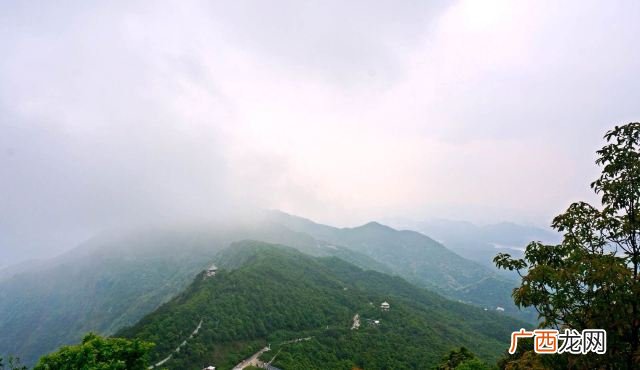 深圳梧桐山,梧桐山哪个入口上山最好?