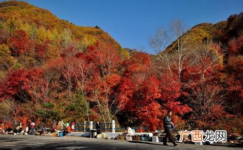 东北旅游必去的地方有哪些,东北十大海岛排行榜?
