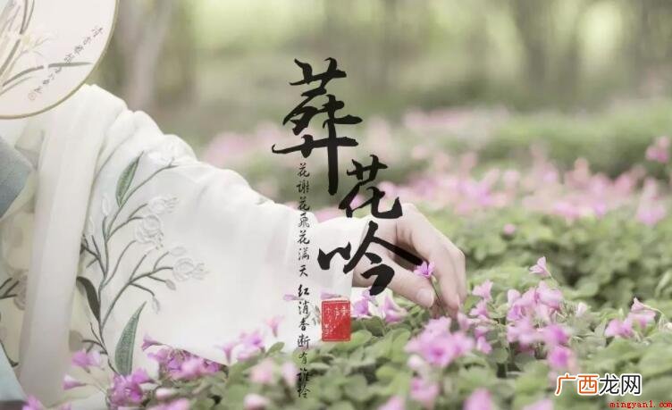 《葬花吟》的原文是什么