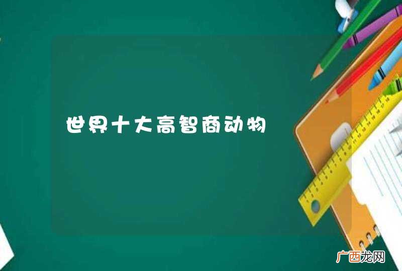 世界十大高智商动物