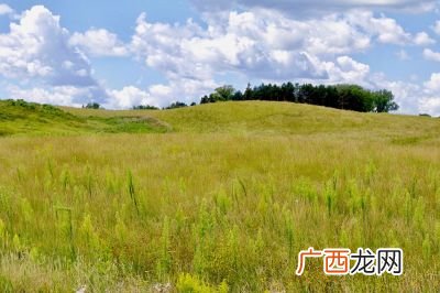 田野是什么意思,乡村田野什么意思？
