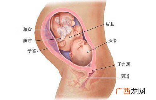 孕34周胎儿发育标准是什么,怀孕34周胎儿头围标准多少的是正常的啊？