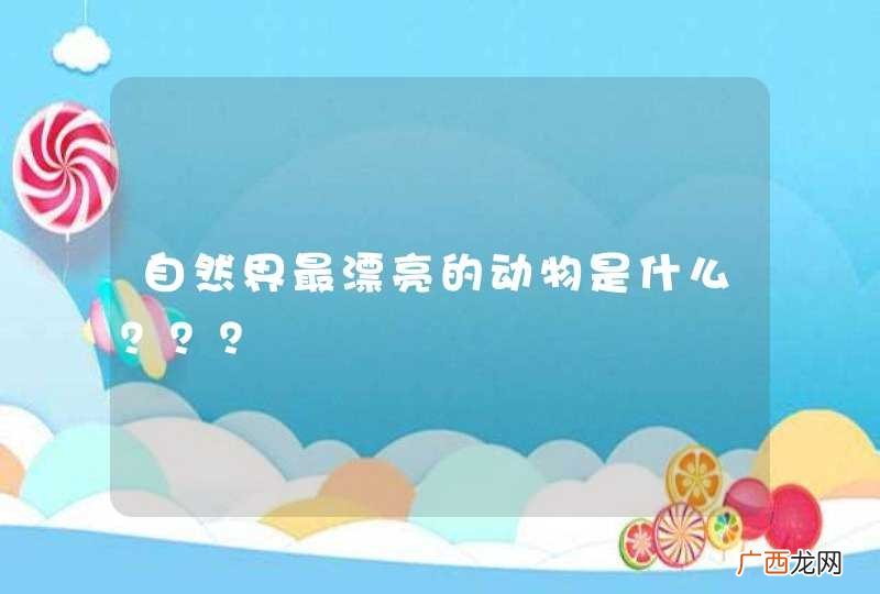 自然界最漂亮的动物是什么？？？