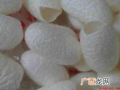 煮蚕茧怎么煮