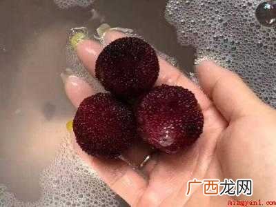 鲜杨梅怎么洗