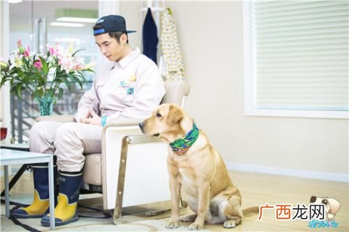 神犬小七的主人是谁,神犬小七在现实生活中叫什么名字?