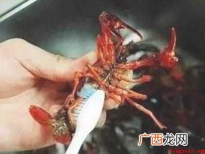 小龙虾大量怎么清洗
