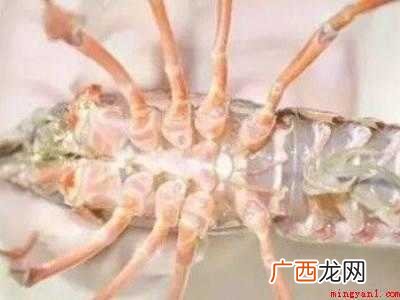 小龙虾大量怎么清洗