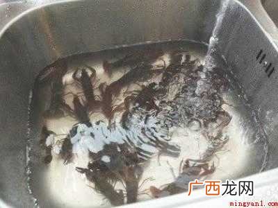 小龙虾大量怎么清洗