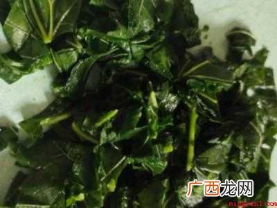 桑叶的吃法有几种