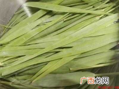 新鲜芦苇叶怎么处理才能包粽子