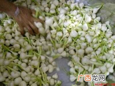 团葱怎么腌制好吃