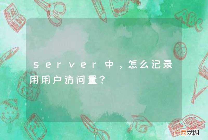 server中，怎么记录用用户访问量？