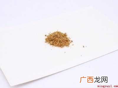 蟑螂根除