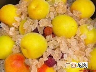 观赏梅花结的果子怎么吃