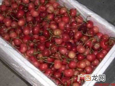 樱桃储存方法和时间