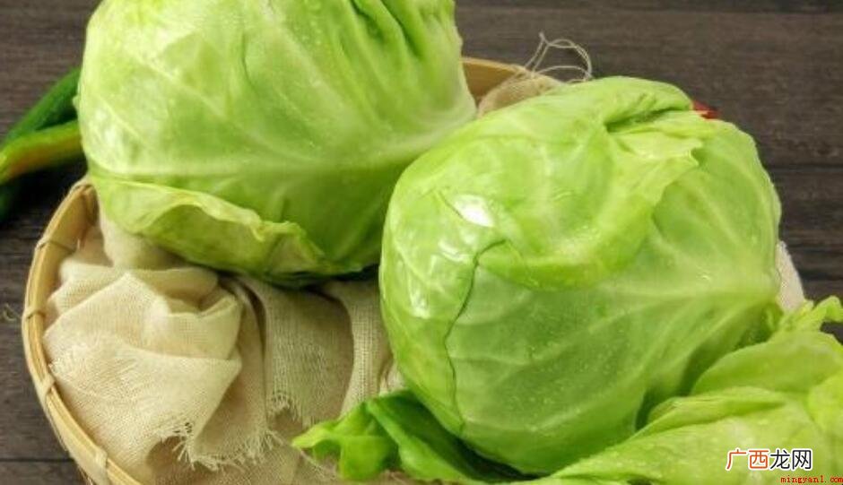 卷心菜的热量是多少_健康频道 卷心菜的热量是多少