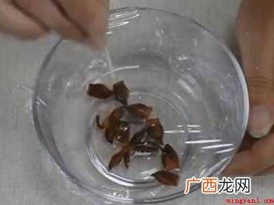 卧室有虫子怎么解决