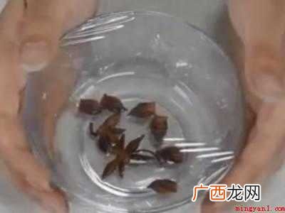 卧室有虫子怎么解决
