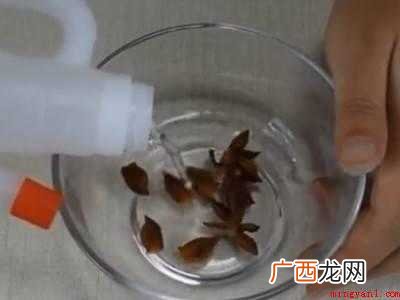 卧室有虫子怎么解决