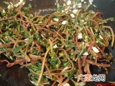 马齿苋的做法