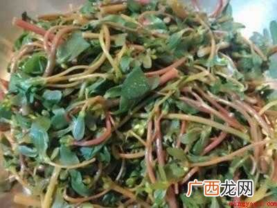 马齿苋的做法
