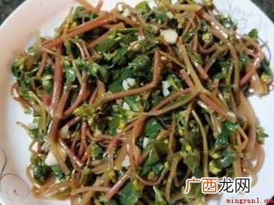 马齿苋的做法