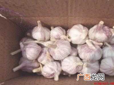 鲜蒜怎样存放保鲜
