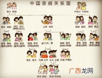 表亲堂亲怎么区分,亲舅舅和表舅的区别？