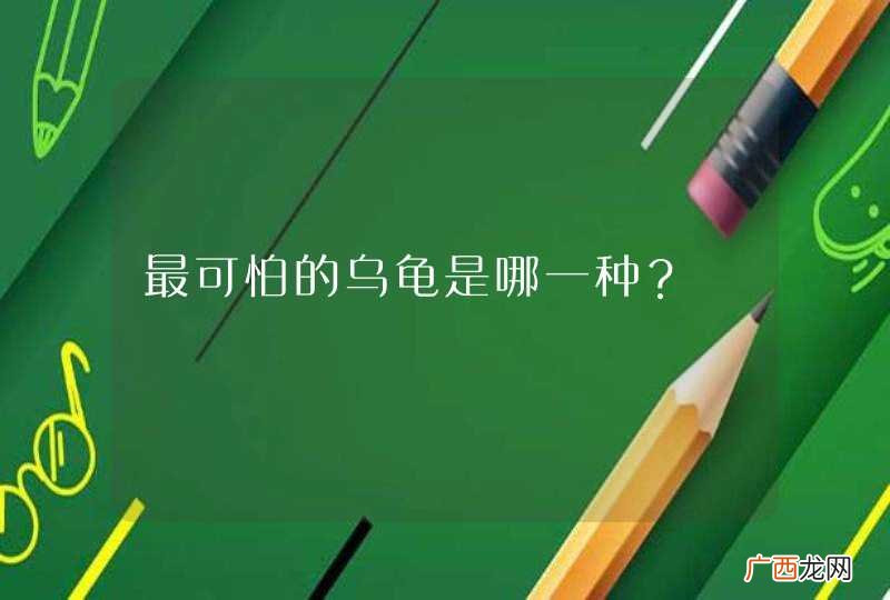 最可怕的乌龟是哪一种？