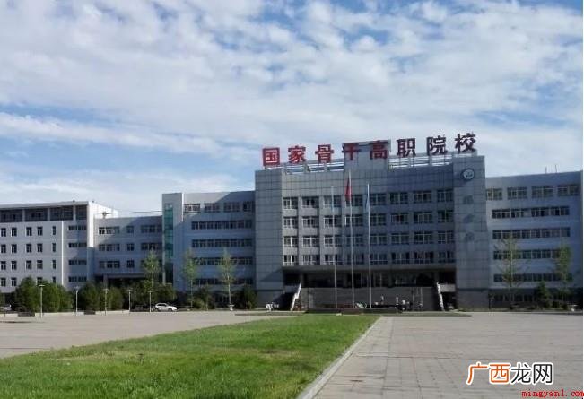 什么是高职院校?_教育频道 什么是高职院校