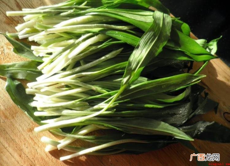 野韭菜怎么吃_健康频道 野韭菜怎么吃