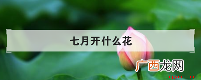 七月时候向日葵、荷花、昙花、国槐等花都会开发的 七月开什么花