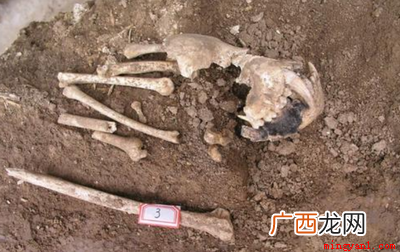 遗骸和遗体的区别 遗骸和遗体的区别是什么