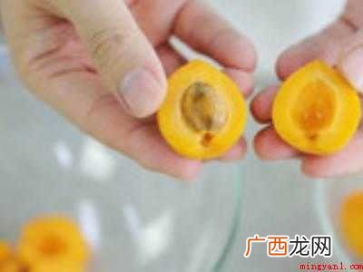 自己做杏干怎么晒能和买的一样