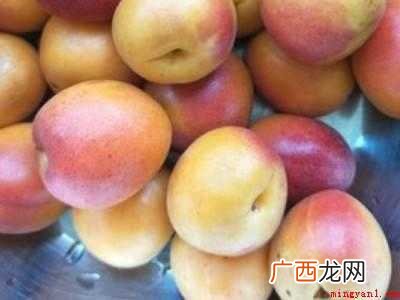 自己做杏干怎么晒能和买的一样