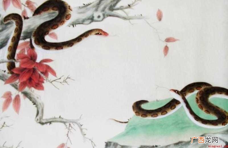 1977年属什么生肖
