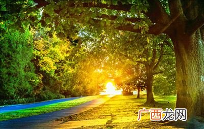 阳关大道指的是通往哪里的路,阳光大道是指通往哪里的路？
