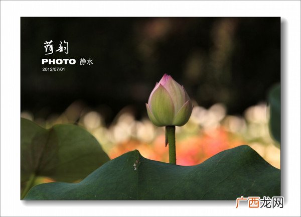 呢喃细语什么意思,“呢喃细语”这个成语什么意思？
